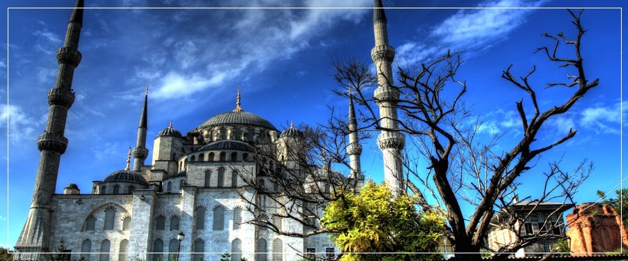 Istanbul Port Tours (Shore Excursions) : Private Tour to Hagia Sophia, Topkapi Palace, Blue Mosque, Grand Bazaar, Basilica Cistern, Spice Bazaar, Chora Museum